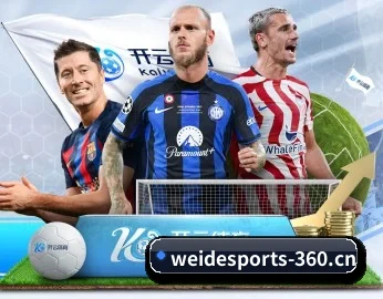 平台简介 - 体育资讯内容服务 - WEIDE SPORTS